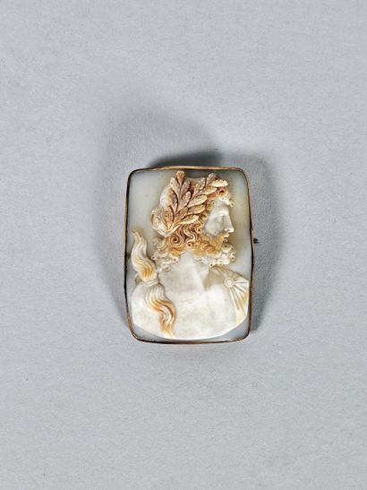 Beautiful shell cameo carved with Zeus crowned...