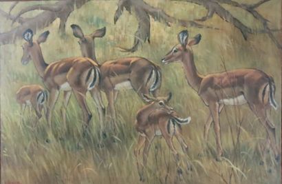Yvonne LEMOINE (1903 1982)
Les gazelles impalas....