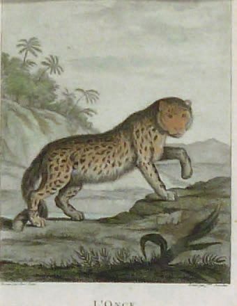 Ensemble de sept gravures en couleurs, comprenant:...