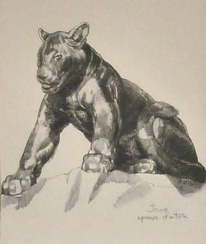 Paul JOUVE (1878 1973)
Jeune panthère assise,...