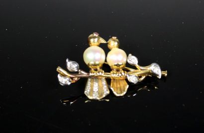 Broche oiseaux branchés en ors jaune et blanc...