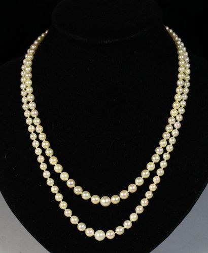 Collier à deux rangs de perles de culture...