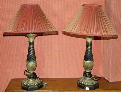 Paire de pieds de lampe en bronze doré et...