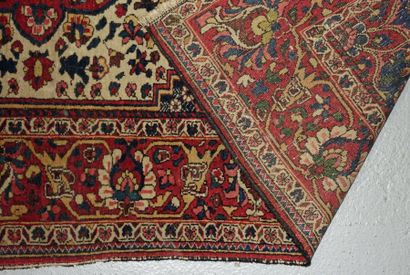 Tapis à décor Herati à bordure rouge.


210...