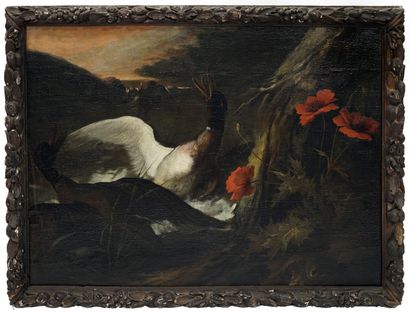 Ecole hollandaise du XVIIIe Canards apeurés...