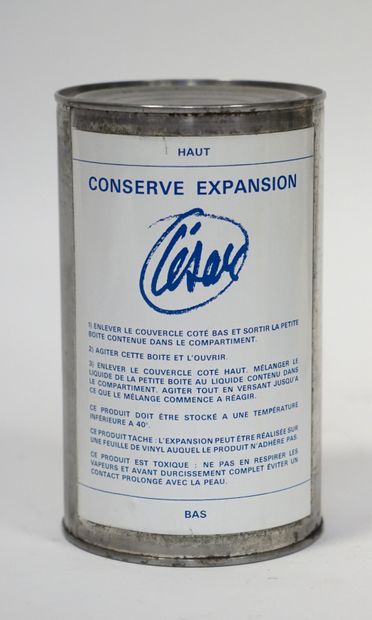 CÉSAR (1921-1998) et Martial RAYSSE (né en...