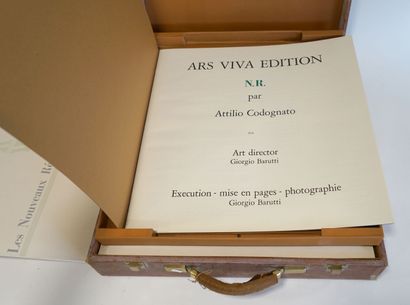 La VALISE des NOUVEAUX REALISTES, 1973. Valise...