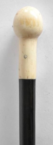 CANNE érotique ne bois noirci, le pommeau...