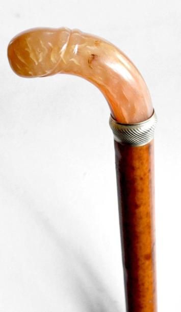 CANNE en corne blonde représentant un phallus...