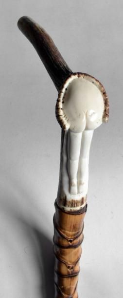 CANNE érotique, poignée en bois de cerf sculpté...