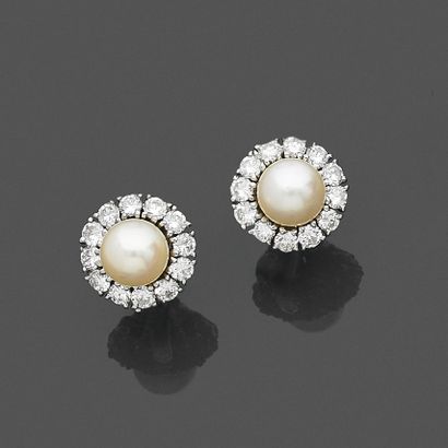 Paire de BOUCLES d'OREILLE en or gris 750...