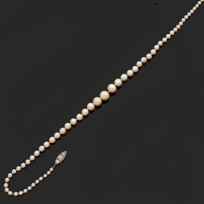 COLLIER de perles de culture en chute. Fermoir...