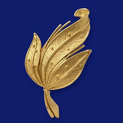 Leaves