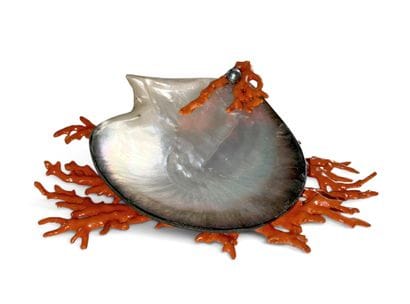 Elégant PORTE-SAVON en coquillage sur un...