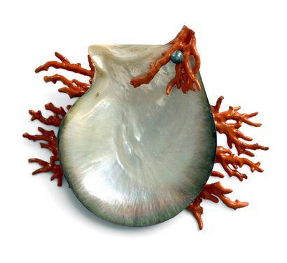 Elégant PORTE-SAVON en coquillage sur un...