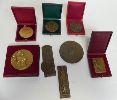 Lot de 8 médailles de table ou plaques.
