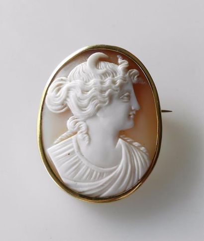 BROCHE en or jaune, sertie d'un camée coquille...