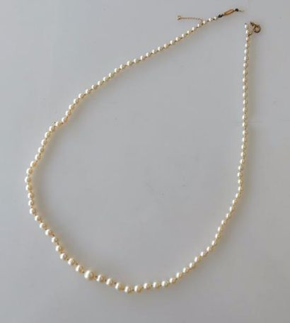 COLLIER de perles de culture en chute. fermoir...