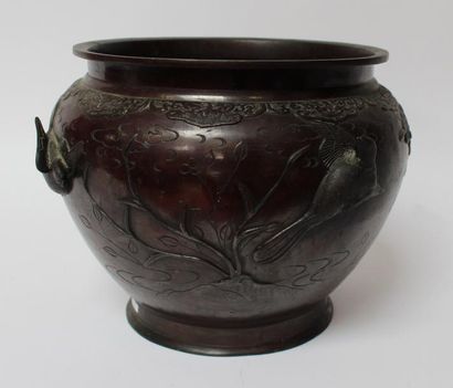Grand CACHE-POT en bronze à décor d'oiseaux...