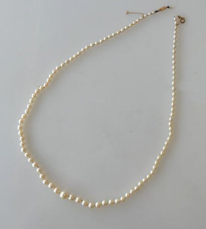 COLLIER de perles de culture en chute, fermoir...