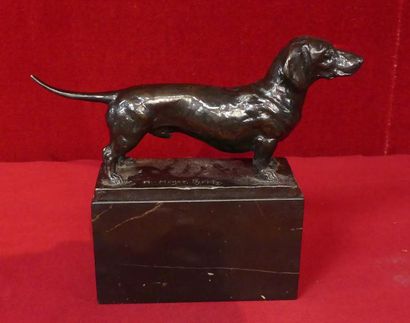 Martin MEYER-PYRITZ (1870-1942). Basset à...