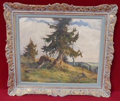 W. Wiererrsheimer, Paysage de montagne, huile...