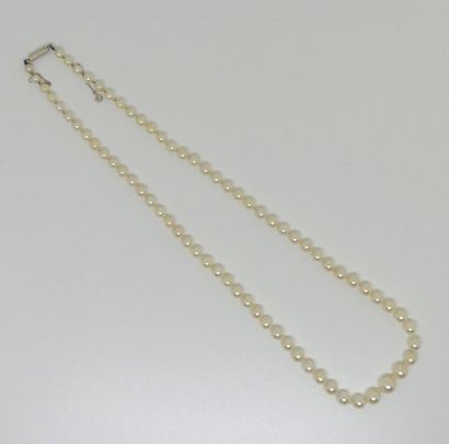COLLIER de perles de culture en chute. 