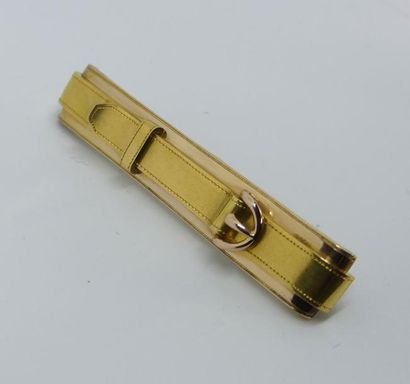 Belle EPINGLE de revers en or jaune motif...