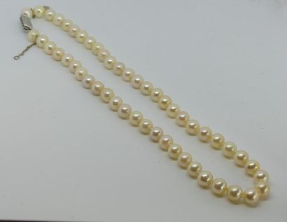 COLLIER de perles de culture en chute, fermoir...