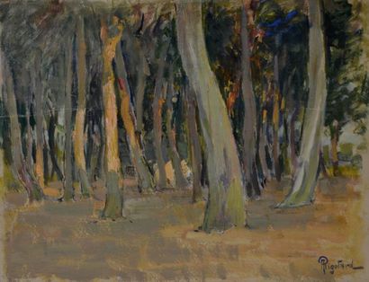 Alexandre RIGOTARD (1871-1944) Sous-bois...