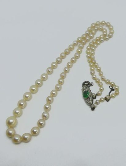 COLLIER de perles de culture en chute, fermoir...
