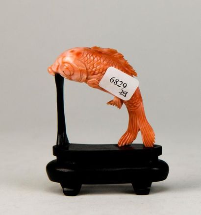 CHINE. Poisson sautant en corail rose sculpté....