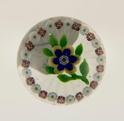 BACCARAT. Primevère jaune et bleue entourée...
