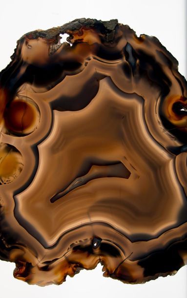 Importante tranche d'agate translucide. Diam...