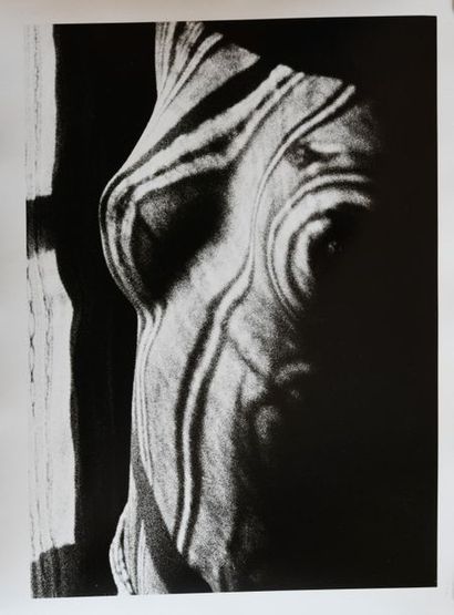 MAN RAY (1890-1976). 
 