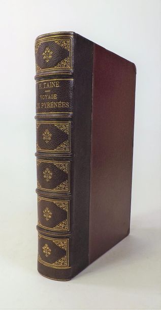 DORE (G.). 
TAINE (H). VOYAGE AUX PYRENEES....