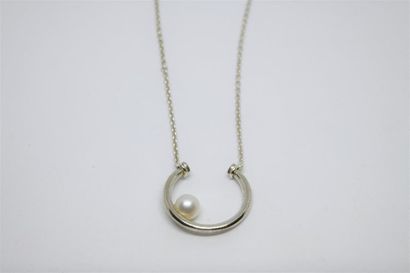 From the house Pandora solid silver necklace...