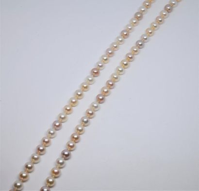 Chocker necklace made of freshwater cultured...