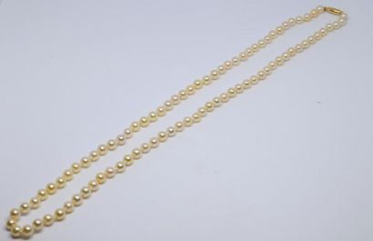 Necklace in cultured pearls, cream colour,...