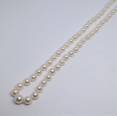 Falling cultured pearl necklace, white colour,...