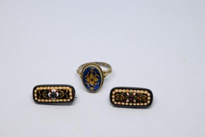 Set in silver, vermeil and Bresse enamels...
