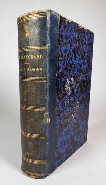 BLANCHARD (E.). LES POISSONS DES EAUX DOUCES...