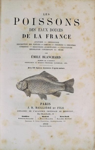BLANCHARD (E.). LES POISSONS DES EAUX DOUCES...