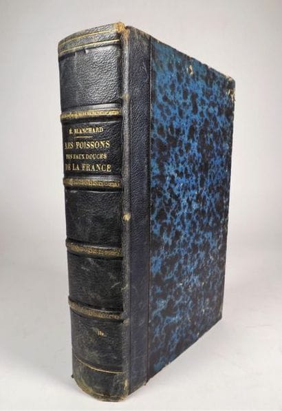 BLANCHARD (E.). LES POISSONS DES EAUX DOUCES...