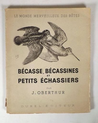 OBERTHUR (J.). BECASSES, BECASSINES ET PETITS...