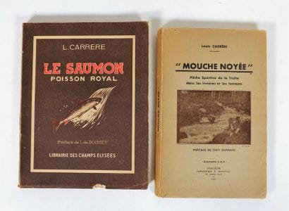 Lot de 2 volumes. CARRERE. MOUCHE NOYEE....