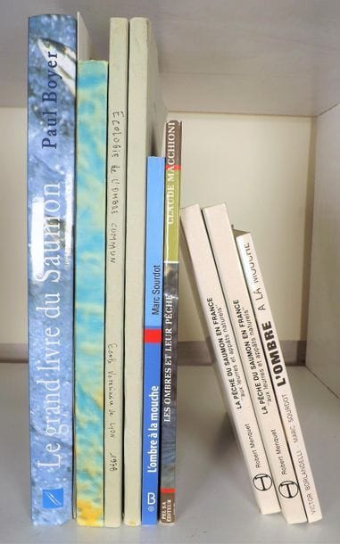 Lot de 10 volumes (ombre - saumon). BORLANDELLI....