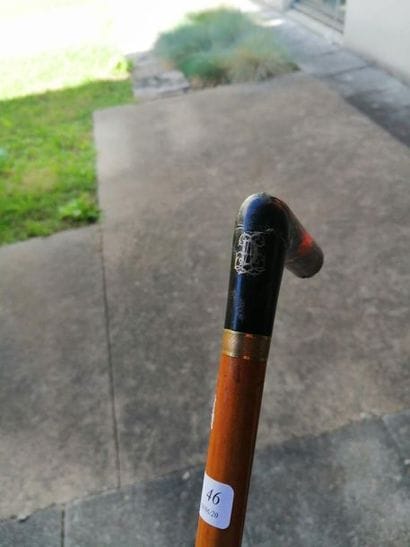 Whip cane. Horn pommel.

L: 65.5 cm. (Missing...