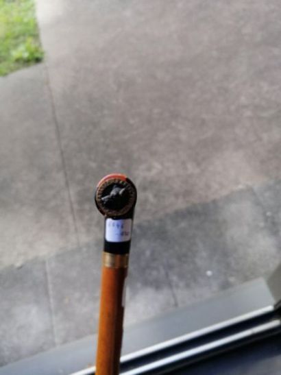 Whip cane. Horn pommel.

L: 65.5 cm. (Missing...