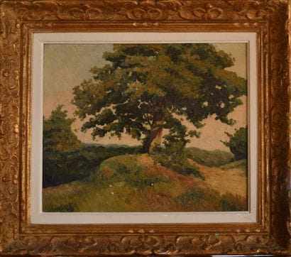According to Henri Joseph HARPIGNIES (1819-1916)....
